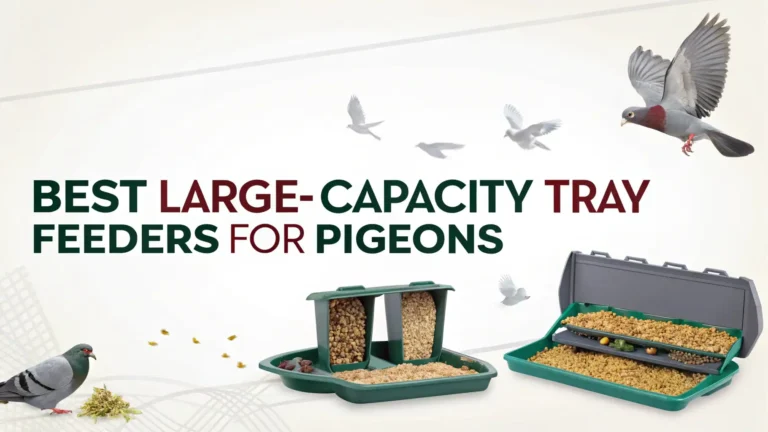 5 Best Large-Capacity Tray Feeders for Pigeons