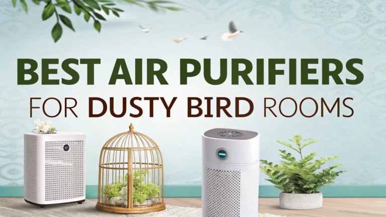 9 Best Air Purifiers for Dusty Bird Rooms in 2026