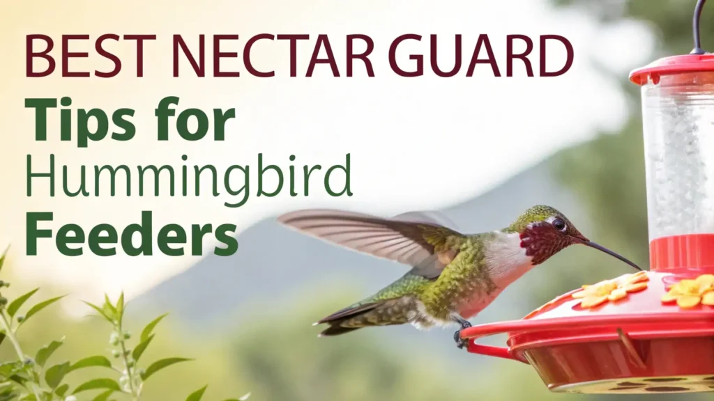 6 Best Nectar Guard Tips for Hummingbird Feeder in 2026 2 Nectar Guard