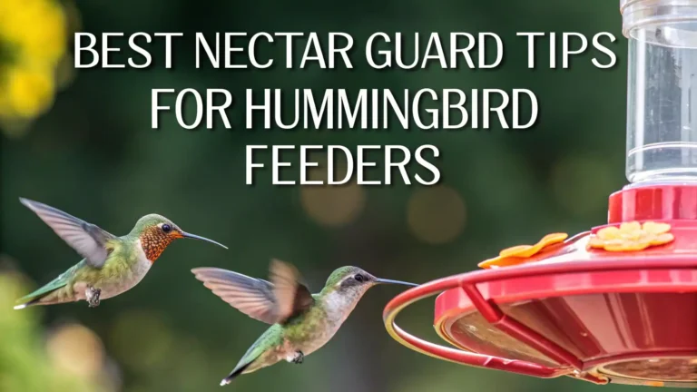 6 Best Nectar Guard Tips for Hummingbird Feeder in 2026