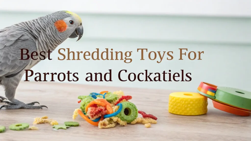 6 Best Shredding Toys for Parrots and Cockatiels in 2026 2 Shredding Toy