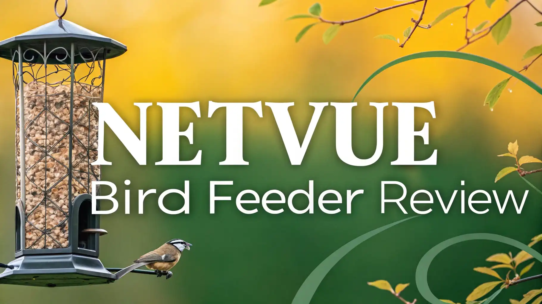 Netvue Bird Feeder Review 2026: Read This Before Buying