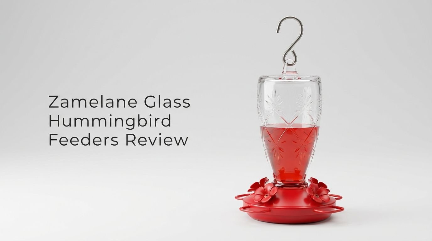 Zamelane Glass Hummingbird Feeders Review 2026