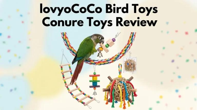 lovyoCoCo Bird Toys Conure Toys Review: Worth Buying?