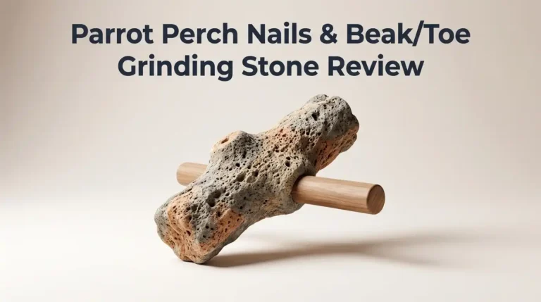 Parrot Perch Nails & Beak/Toe Grinding Stone Review 2026