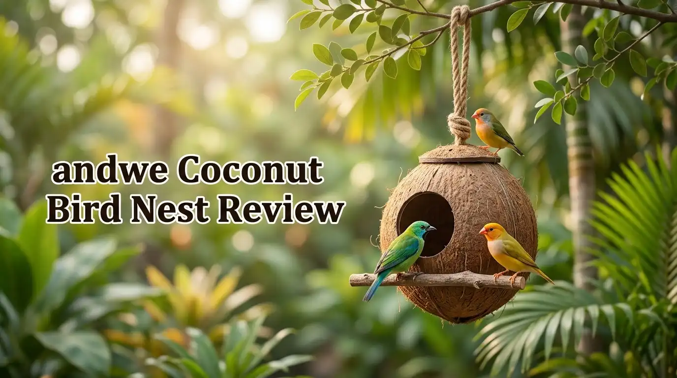 andwe Coconut Bird Nest Review 2026: Worth Buying?
