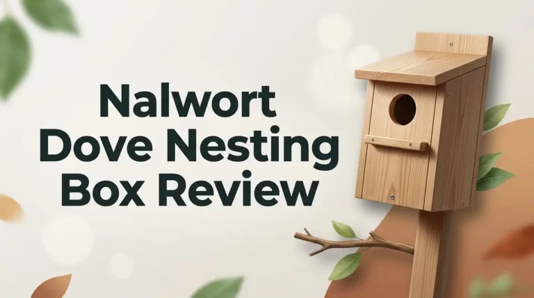 Nalwort Dove Nesting Box Review 2026: Worth Buying?
