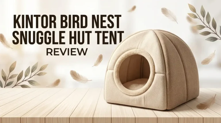 Kintor Bird Nest Snuggle Hut Tent Review 2026: Worth Buying?