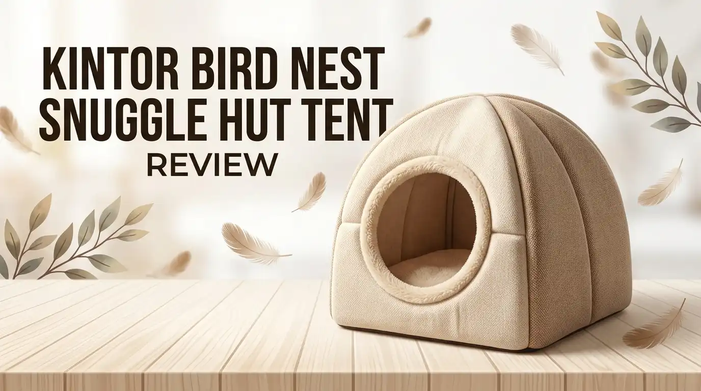 Kintor Bird Nest Snuggle Hut Tent Review 2026: Worth Buying?